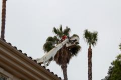 IMG_1894-1296x864