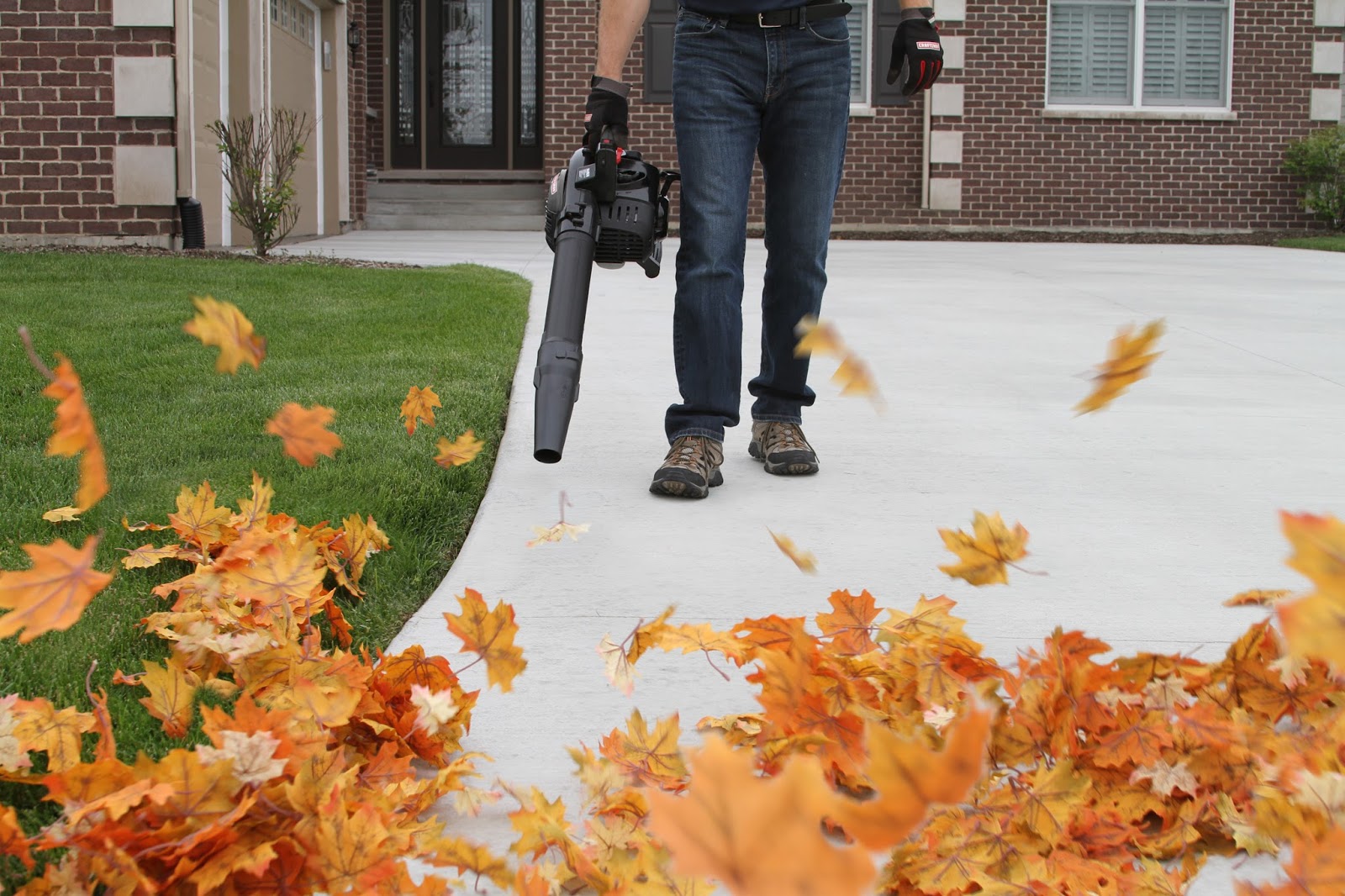 Leaf Removal Services And Landscaping Los Angeles California